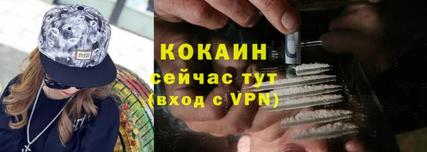 ешки Горняк