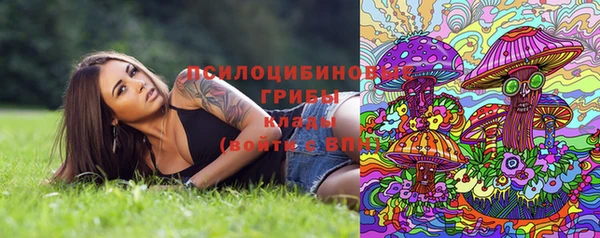 ешки Горняк
