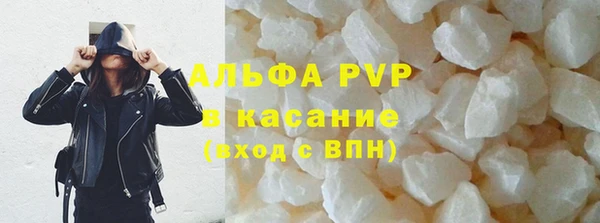 ешки Горняк