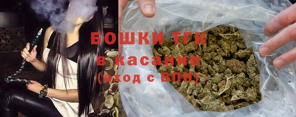 ешки Горняк
