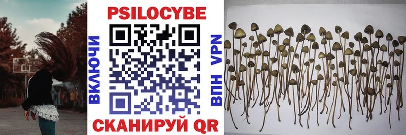 Купить закладки Верещагино Галлюциногенные грибы мухоморы